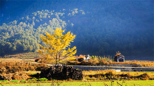 一般一個(gè)拓展訓(xùn)練場(chǎng)地會(huì)占多大地方？