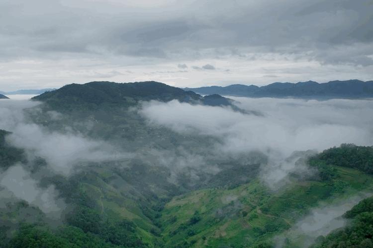 云南旅游、云南定制旅游、云南策劃公司：綠野仙蹤，生態(tài)之旅