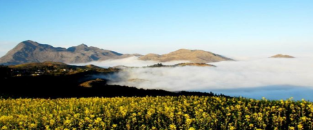 云南公司團(tuán)隊(duì)活動策劃,云南公司策劃活動,曲靖旅行社:大美羅平，你值得游玩！