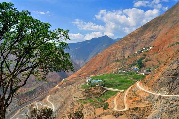 云南旅游,云南旅行社,云南團(tuán)建公司,云南會議公司,大理旅游,大理旅行社,大理團(tuán)建公司,大理會議公司：云南第一棵咖啡樹，在哪？