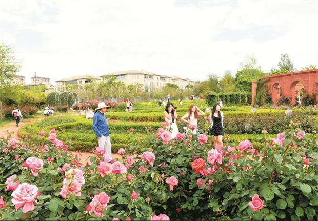 云南旅游,云南旅行社,云南團(tuán)建公司,云南策劃公司,云南會議公司,昆明旅游,昆明旅行社,昆明團(tuán)建公司,昆明策劃公司,昆明會議執(zhí)行：旅居昆明，在花海里通關(guān)四季！花歷正在更新，等你來簽收春天→