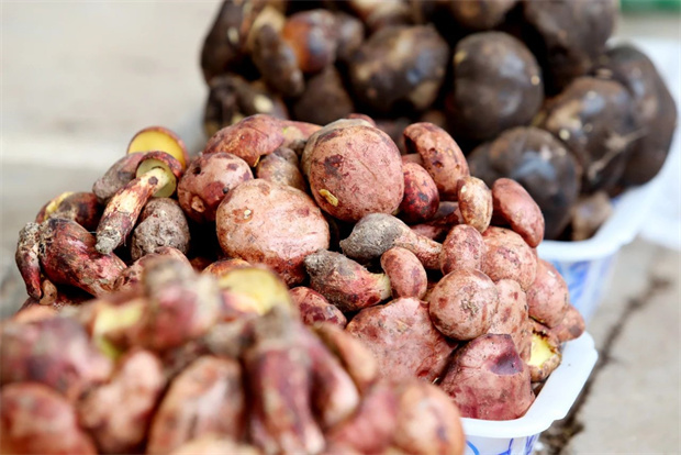 云南旅游,云南旅行社,云南團(tuán)建公司,云南策劃公司,云南會(huì)議會(huì)展,昆明旅游,昆明旅行社,昆明團(tuán)建公司,昆明策劃公司,昆明會(huì)議會(huì)展：云南吃菌季，來(lái)了！｜有一種叫云南的生活之365天