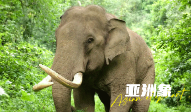 秋冬天來(lái)云南旅游團(tuán)建是個(gè)不錯(cuò)的選擇云南旅行社,云南團(tuán)建公司,云南策劃公司,云南會(huì)議會(huì)展,云南策劃執(zhí)行：云南避寒暖冬之旅